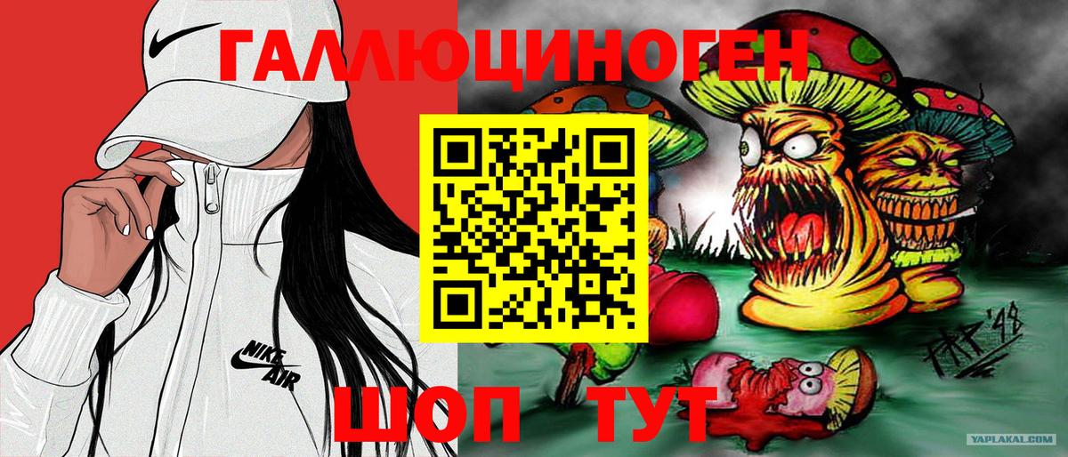 Псилоцибиновые грибы мицелий  Вход с VPN  что такое   Саранск 